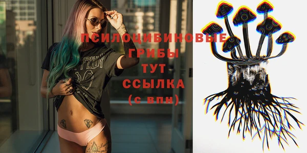 тгк Балахна