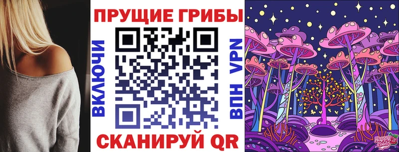 Купить  Опочка  Галлюциногенные грибы Psilocybine cubensis 
